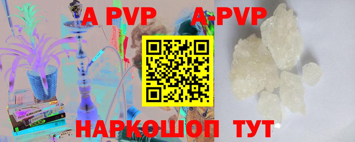 A-PVP СК Сургут